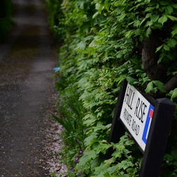 London/Forest Hill/DSC_0245.JPG